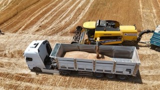 İthalat açıklaması bile arpanın ateşini düşürmedi