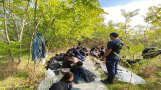 İzmir açıklarında 66 düzensiz göçmen yakalandı, 29 göçmen kurtarıldı