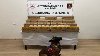 Jandarma 10 bin adet kaçak av tüfeği mermisi ele geçirdi