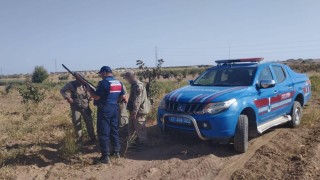 Jandarmadan av yasağına uymayan şahsa işlem