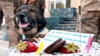 Jandarmadan ‘can dostlara özel kutlama