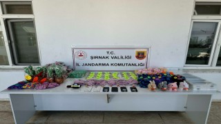 Jandarmadan kaçakçılık operasyonu: 98 şüpheli hakkında yasal işlem yapıldı