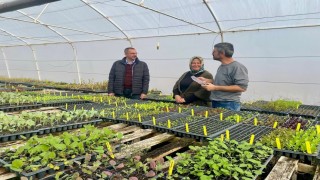 Kadın çiftçiler üretime güç katıyor