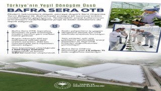 Kadın eliyle yeşeren tarım: Bafra Sera OTB, yıllık 1,5 milyar liralık katkı sunacak