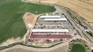 Kahramanmaraş canlı hayvan pazarı açıldı