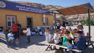 Kahta Belediyesinden Hayvanları Koruma Gününde anlamlı etkinlik