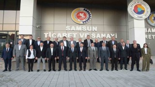 Kahverengi kokarca sorunu Samsundaki oda ve borsaların gündeminde