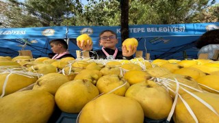 Kalitesiyle ünlü Eşme ayvası, festivalle görücüye çıktı