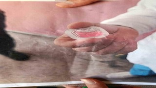 Kapı kapı gezip fotoğraf göstererek tehlikeye dikkat çektiler