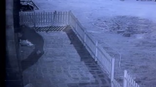 Kapıyı hırsız zorluyor sandı, gerçek güvenlik kamerası ile ortaya çıktı