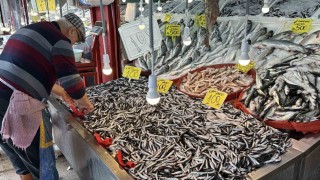 Karabükte balık tezgahlarında hamsi bolluğu: Kilosu 100 TLye kadar düştü