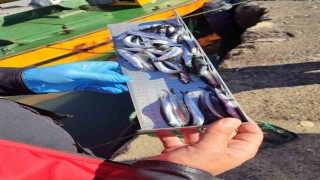 Karadeniz Ereğlide balıkçılık denetimlerinde 153 tekneye e-seyir onayı verildi