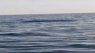 Karadeniz kıyılarında bir insansız deniz aracı şüphesi daha