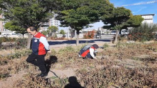 Karadenizin korkulu rüyası Sivasta görüldü