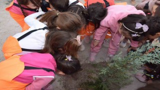 Karapınarda minikler yeşil çevre için fidan dikti