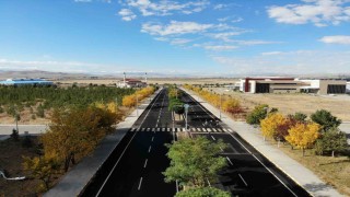 Karsta renk tonuna bürünen ağaçlar büyüledi