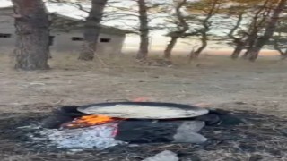 Karsta tilkiler yerleşim yerlerinde cirit atıyor