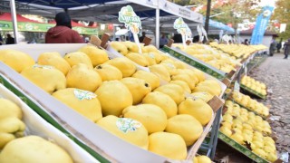 Kartepede Eşme Ayva Festivali düzenlenecek