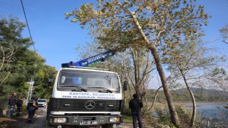 Kartepede yeşil alanlara bakım yapılıyor