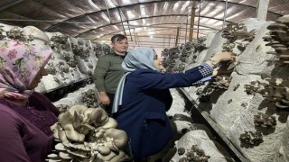 Kaymakam Kılıç: Yerel üretimi her zaman destekliyoruz