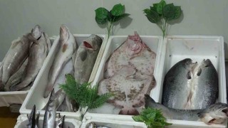 Kebap şehri Gaziantepin yeni gözdesi balık