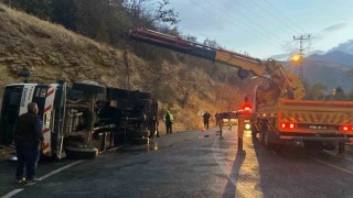 Kemaliyede canlı hayvan taşıyan çekici devrildi: 2 hayvanın ayağı kırıldı