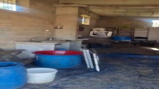 Kiliste hijyen kurallarına uymayan nar ekşisi imalathanesine 147 bin ceza uygulandı