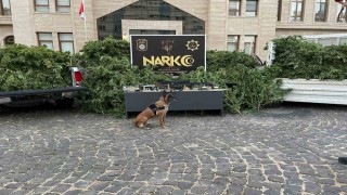 Kiliste uyuşturucu operasyonu: 1 tutuklama