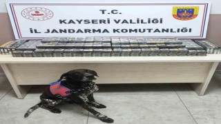 Kimlik kontrolü için durdurulan 2 tırdan 560 paket kaçak sigara ele geçirildi