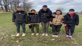 Kırklarelinde 5 kaçak göçmen yakalandı