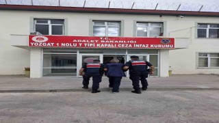 Kırşehirde yaşlı çifti öldüren katil zanlısı cezaevinde kalp krizi geçirerek öldü