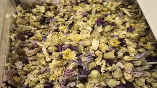 Kışın favorisi: Zencefil, propolisli macun, kara mürver ve karadut pekmezleri