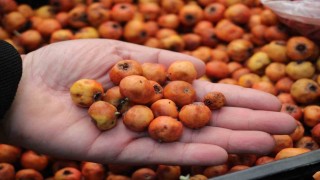 Kışın habercisi alıç meyvesi, tezgahları renklendirdi