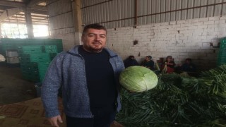 Kışlık ürünlerde hasat başladı