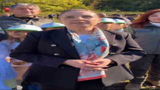 Kokarca istilasına karşı 250 sülün doğaya salındı