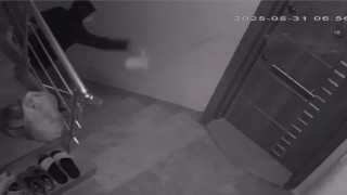 Komşularını canından bezdirdi