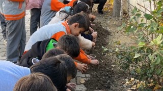 Konyadan Yüksekovaya gönül köprüsü: Ata tohumları toprakla buluştu