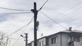 Köpeklerden kaçtı, direkte mahsur kaldı