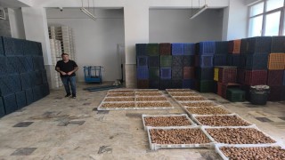 Köşkte kuru incir depolarına sıkı denetim