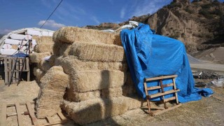 Köşkteki saman pazarı sürücülere zor anlar yaşatıyor