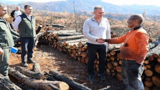 Köyceğizde yanan sahalar fidan dikimi için hazırlanıyor