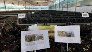 Kurakçıl Peyzaj Tasarımı Projesine destek