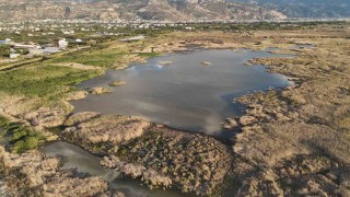 Kuraklığın etkisiyle çölü aratmaz hale gelen Milleyhada yağışlarla birlikte kuşların sesleri yankılanmaya başladı