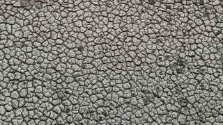 Kuraklığın izi: Seyhan Baraj Gölünde sular çekilince toprak çatladı