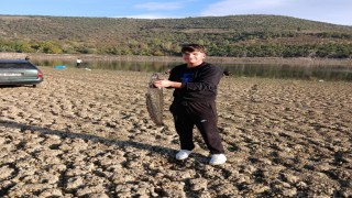 Kuruyan gölde yayın avı