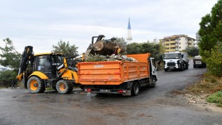 Kuşadasında metruk binanın çevresindeki atıklar temizlendi