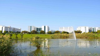 Kuzey Kıbrıstan dünya literatürüne: Yeni virüs türü Alasiavirus keşfedildi