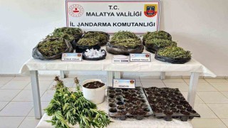 Malatyada 13 kilo esrar ele geçirildi: 5 şahıs tutuklandı