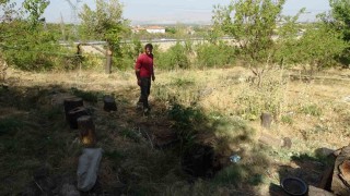 Malatyada kayısı bahçesinde obruk oluştu