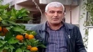 Malatyada kestiği ağaç üzerine devrilen bir kişi hayatını kaybetti